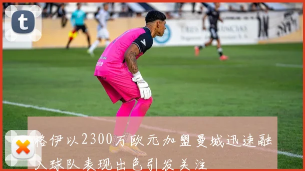 格伊以2300万欧元加盟曼城迅速融入球队表现出色引发关注