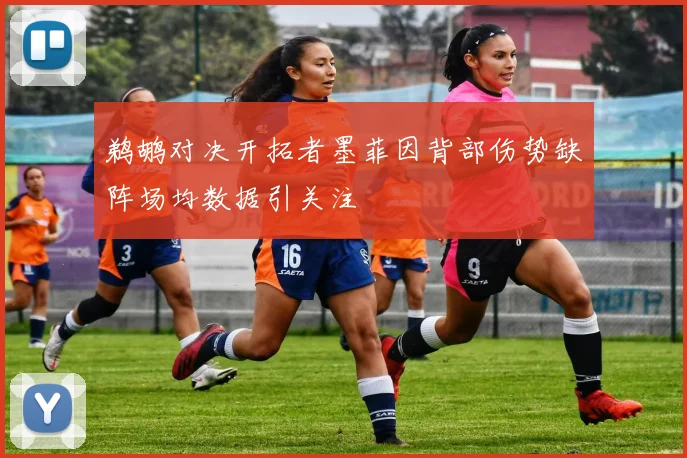 鹈鹕对决开拓者墨菲因背部伤势缺阵场均数据引关注