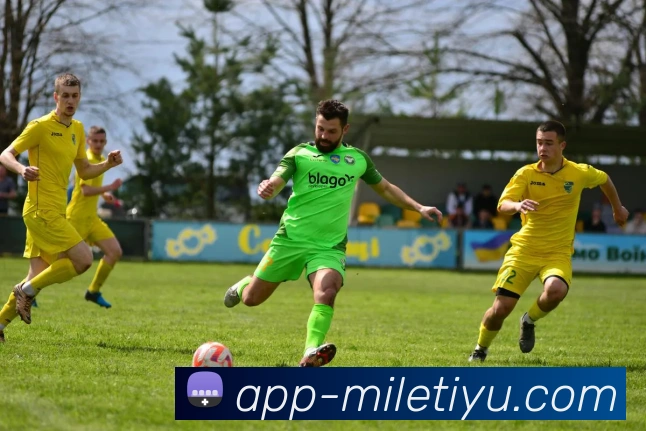 米乐体育平台生态图